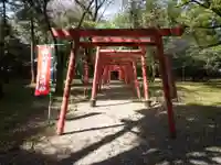 城山稲荷神社の鳥居