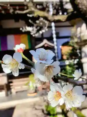 常性寺(東京都)