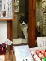 末廣神社の動物