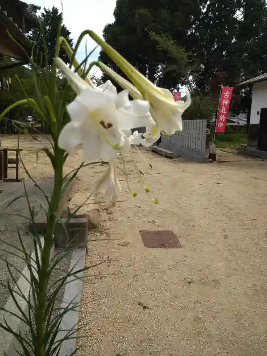 日本第一熊野神社の自然