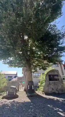 三ツ石神社(岩手県)