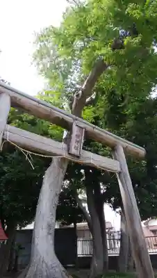 第六天神社の鳥居