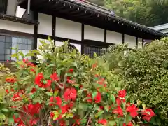 通安寺の自然