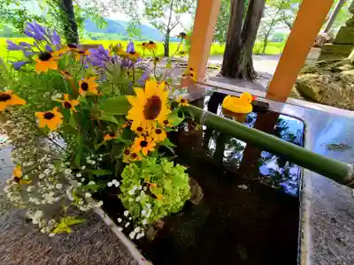 高司神社〜むすびの神の鎮まる社〜の手水舎