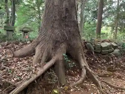 天之宮大神(千葉県)