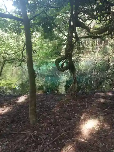 丸池神社(山形県)