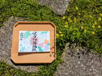 日本唯一香辛料の神 波自加彌神社の御朱印