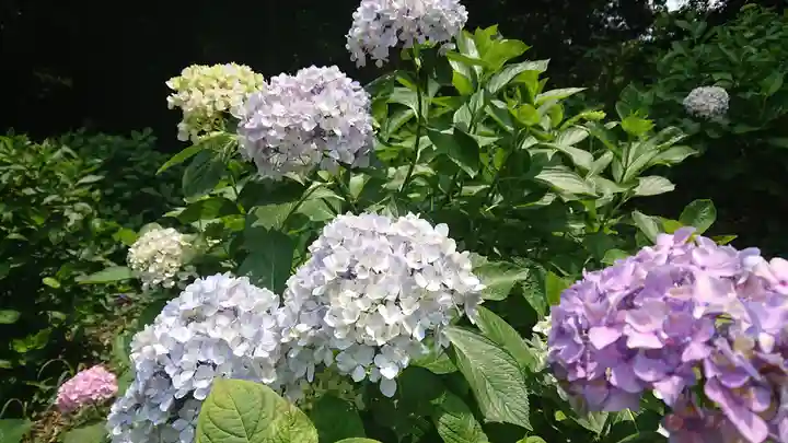吉備津神社(岡山県)