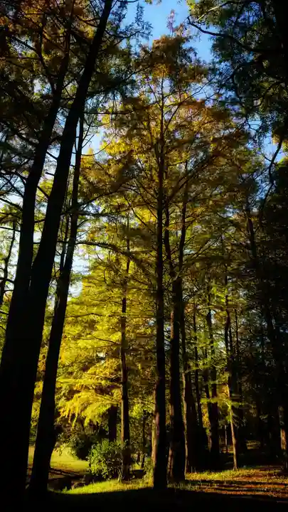 尾張大國霊神社(国府宮)の周辺