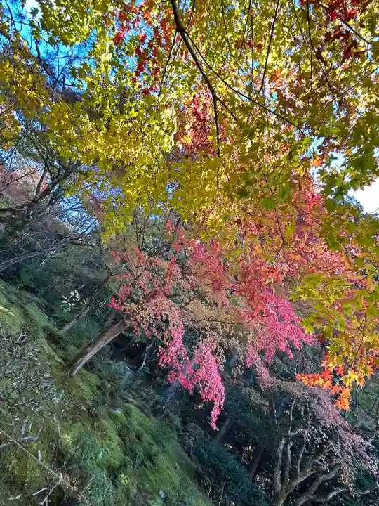 詩仙堂(丈山寺)(京都府)