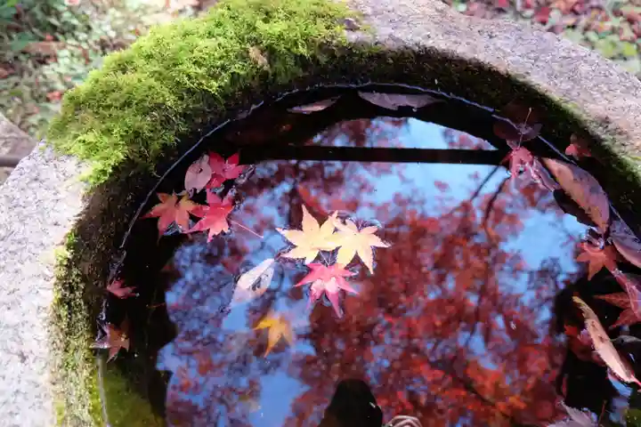 勝持寺(花の寺)(京都府)