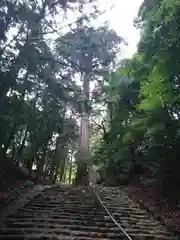 元伊勢内宮 皇大神社の自然