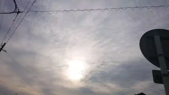 尾張大國霊神社(国府宮)の自然