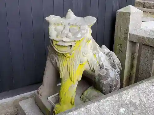 氷室神社の狛犬