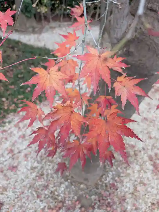 高円寺(東京都)