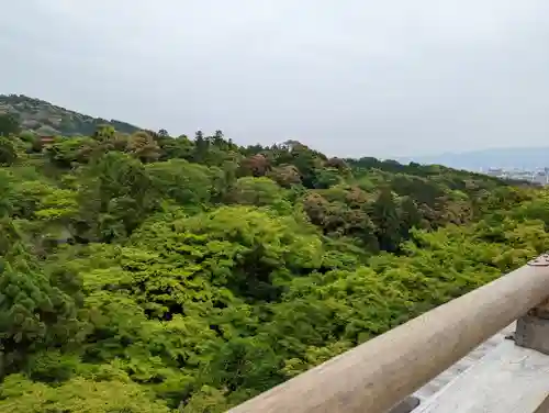 清水寺(京都府)