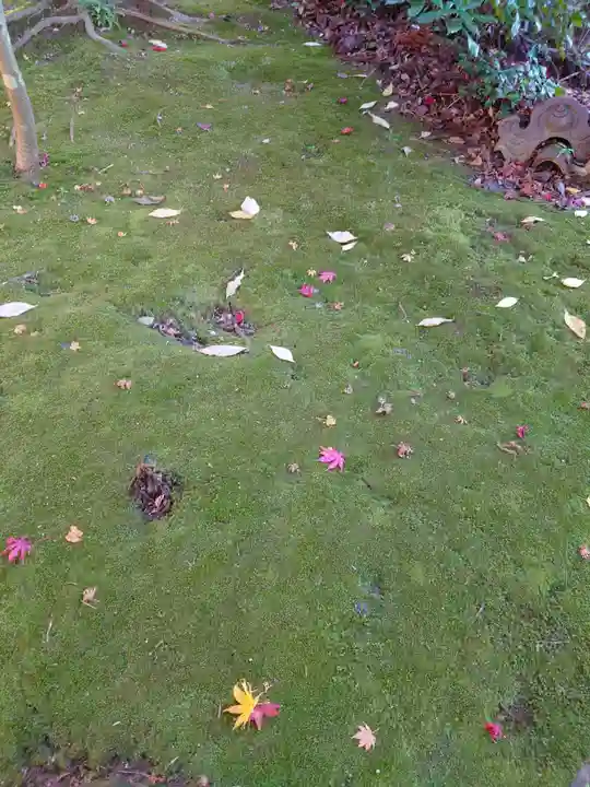 旦飯野神社(新潟県)