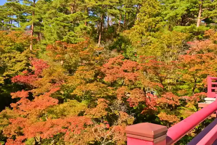 彌彦神社(新潟県)