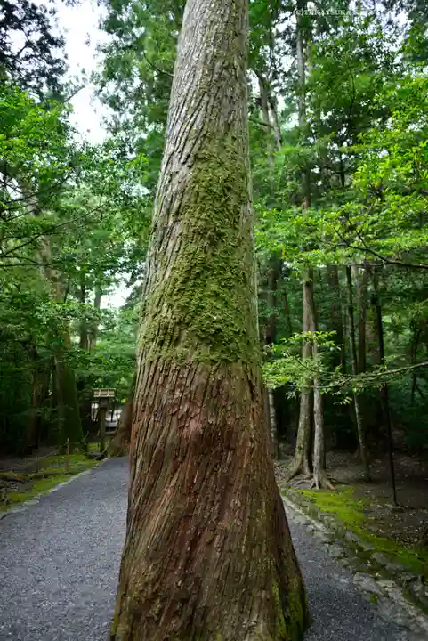 瀧原宮(皇大神宮別宮)(三重県)