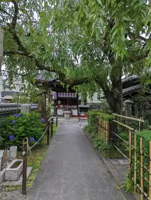 地蔵院（椿寺）(京都府)