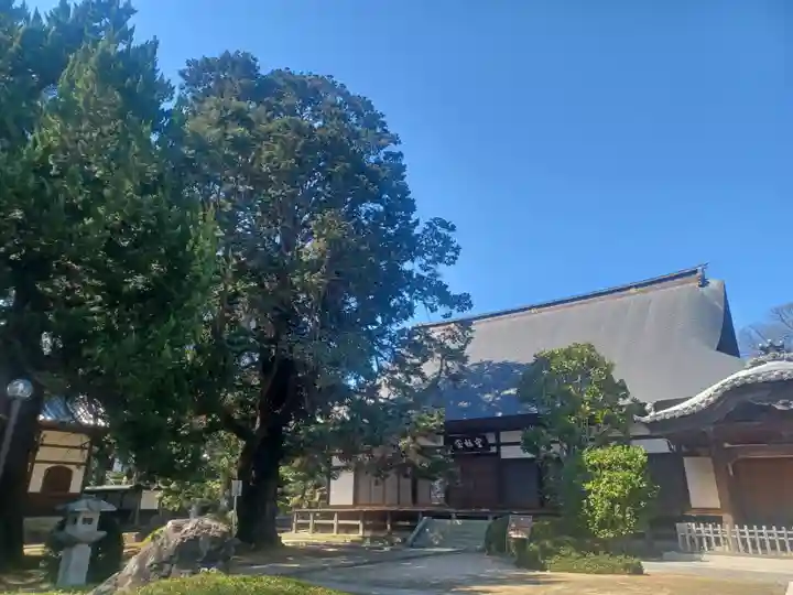 長徳寺(埼玉県)