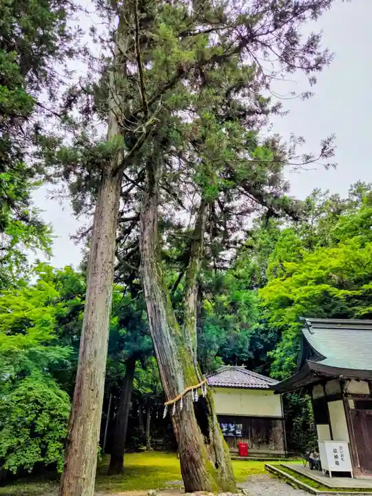 新神社(滋賀県)