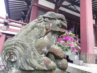 柏神社の狛犬