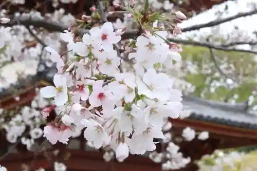 喜多院の{uncategorized: "未分類", other: "その他", undefined: "問題あり", building: "その他建物", grave: "お墓", sacred_gate: "鳥居", guardian: "狛犬", statue: "像", buddha: "仏像", history: "歴史", nature: "自然", garden: "庭園", animal: "動物", pagoda: "塔", temizu: "手水舎", mountain_gate: "山門・神門", sanctuary: "本殿・本堂", subordinate: "末社・摂社", art: "芸術", scenery: "景色", jizo: "地蔵", ema: "絵馬", goshuin: "御朱印", omikuji: "おみくじ", items: "授与品その他", amulet: "お守り", goshuincho: "御朱印帳", eats: "食事", festival: "お祭り", votive_dance: "神楽", shichigosan: "七五三参", wedding: "結婚式", experience: "体験その他", initially: "初詣", around: "周辺", anti_infection: "感染症対策"}