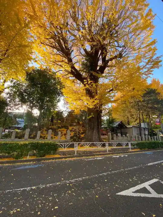 鳩森八幡神社(東京都)