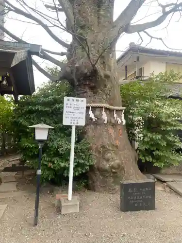 前川神社(埼玉県)
