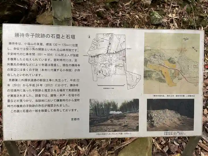 勝持寺(花の寺)(京都府)