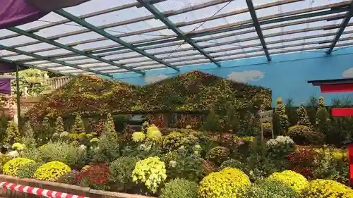 彌彦神社の庭園