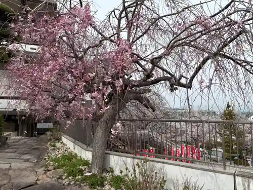 不動寺(大阪府)