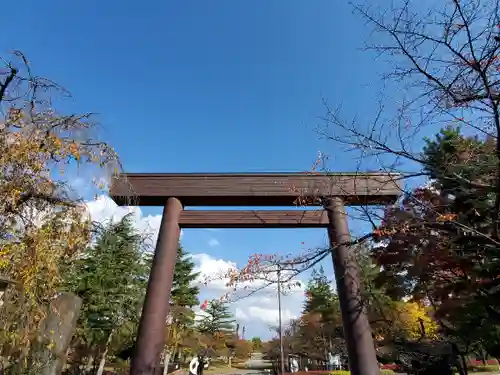 開成山大神宮の鳥居