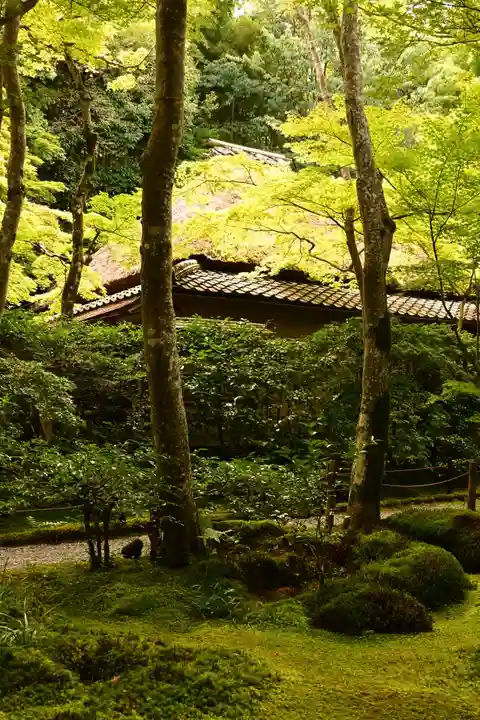 祇王寺(京都府)