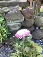 小澤寺(神奈川県)