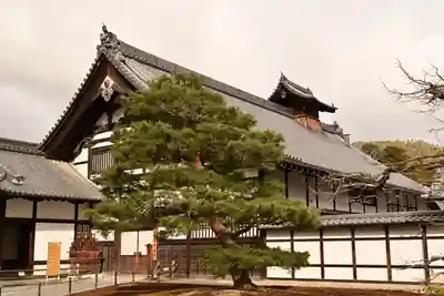 鹿苑寺(金閣寺)(京都府)
