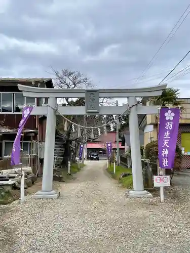 羽生天神社の鳥居