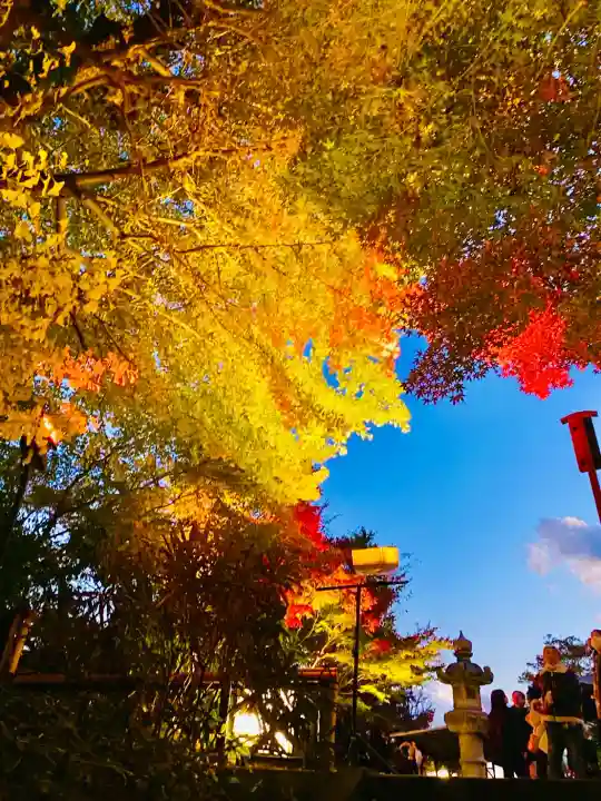 長谷寺(神奈川県)