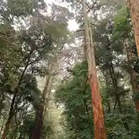 鹿島神宮(茨城県)