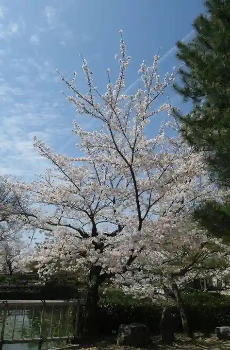 萬福寺(京都府)
