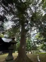 伊豆山神社 本宮(秋田県)