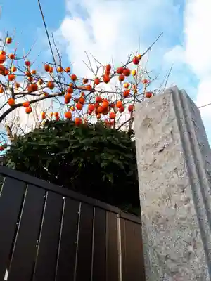 香久山神社の自然