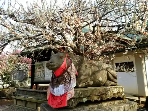 北野天満宮の狛犬