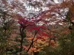 唐澤山神社の景色