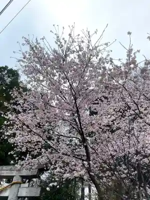 糀谷八幡宮(埼玉県)