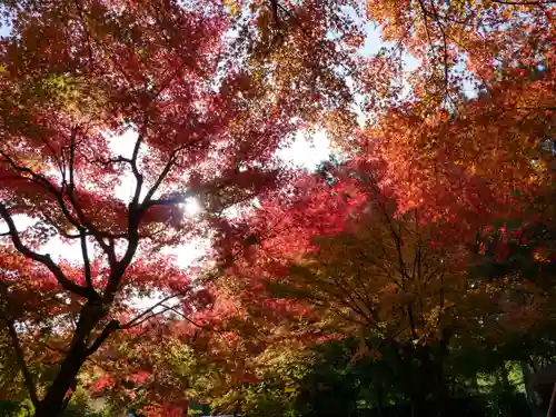 宝徳寺の景色