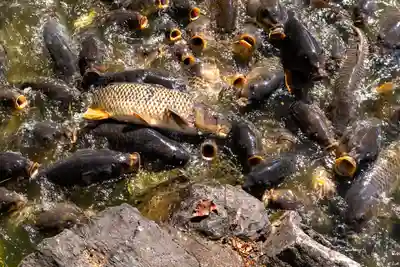 宗像大社(福岡県)