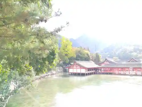 厳島神社の景色