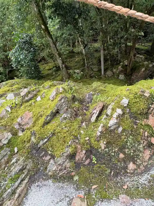 賀茂別雷神社(上賀茂神社)の自然